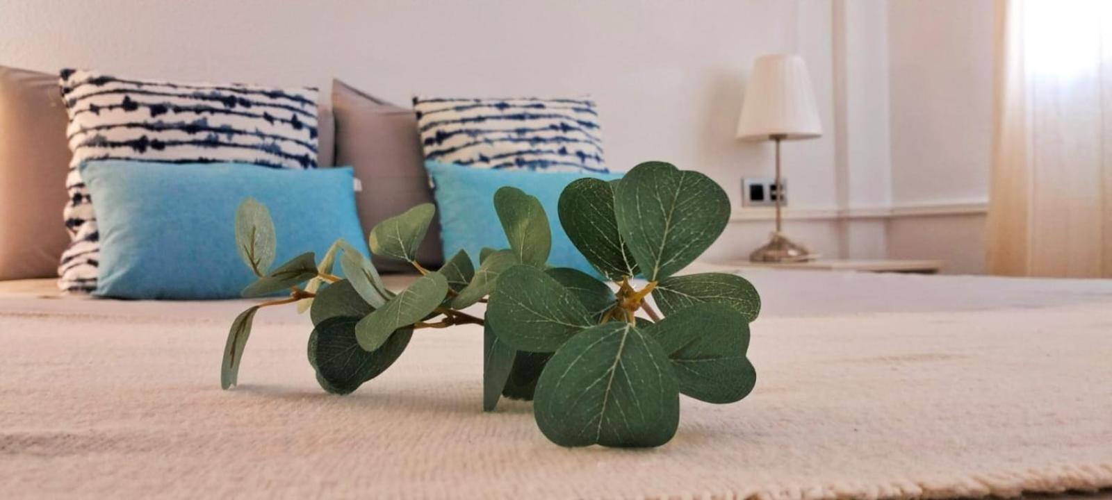 Apartamento Verdemare Corralejo